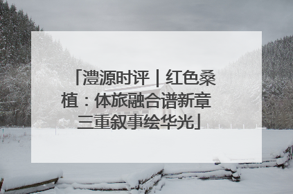 澧源时评｜红色桑植：体旅融合谱新章 三重叙事绘华光