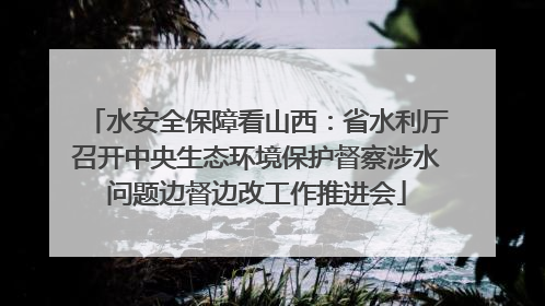 水安全保障看山西：省水利厅召开中央生态环境保护督察涉水问题边督边改工作推进会