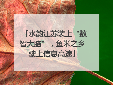 水韵江苏装上“数智大脑”，鱼米之乡驶上信息高速