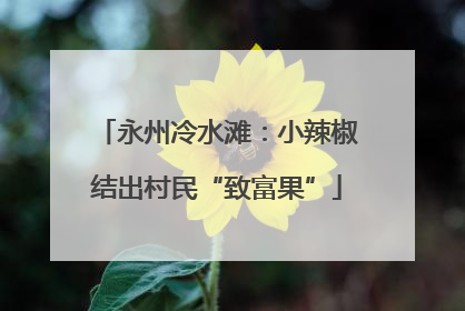 永州冷水滩：小辣椒结出村民“致富果”