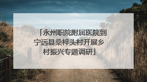 永州职院附属医院到宁远县桑梓头村开展乡村振兴专题调研