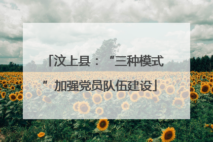 汶上县：“三种模式”加强党员队伍建设