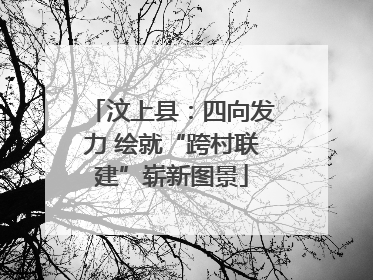 汶上县：四向发力 绘就“跨村联建”崭新图景