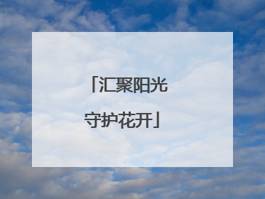汇聚阳光 守护花开
