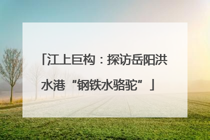 江上巨构：探访岳阳洪水港“钢铁水骆驼”