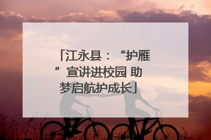 江永县：“护雁”宣讲进校园 助梦启航护成长