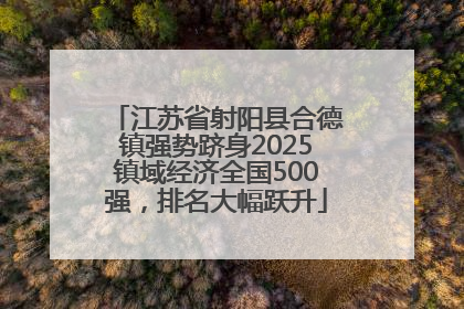 江苏省射阳县合德镇强势跻身2025镇域经济全国500强，排名大幅跃升