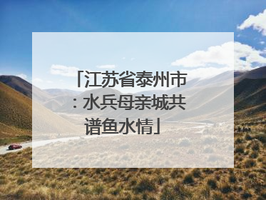 江苏省泰州市：水兵母亲城共谱鱼水情