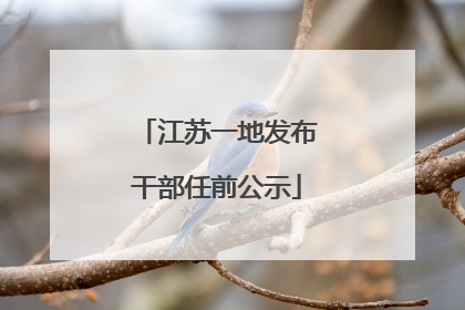 江苏一地发布干部任前公示