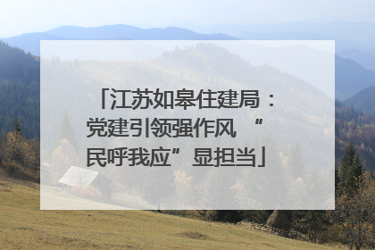 江苏如皋住建局：党建引领强作风 “民呼我应”显担当