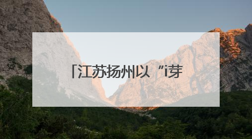 江苏扬州以“i芽护苗”之名 守护青少年网络晴空