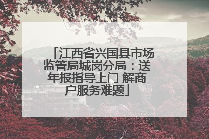 江西省兴国县市场监管局城岗分局：送年报指导上门 解商户服务难题