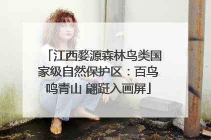江西婺源森林鸟类国家级自然保护区：百鸟鸣青山 翩跹入画屏