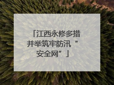 江西永修多措并举筑牢防汛“安全网”