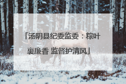 汤阴县纪委监委：粽叶裹廉香 监督护清风