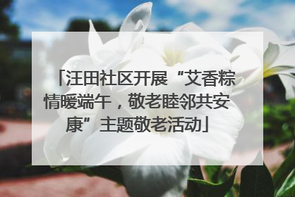 汪田社区开展“艾香粽情暖端午，敬老睦邻共安康”主题敬老活动