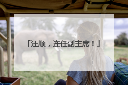 汪顺，连任副主席！