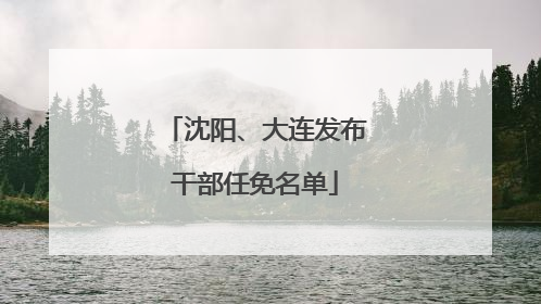 沈阳、大连发布干部任免名单