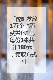 沈阳发放1万个“消费券包”，每份3张共计180元，领取方式→