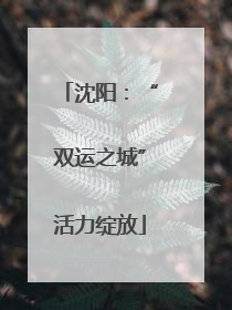 沈阳：“双运之城”活力绽放