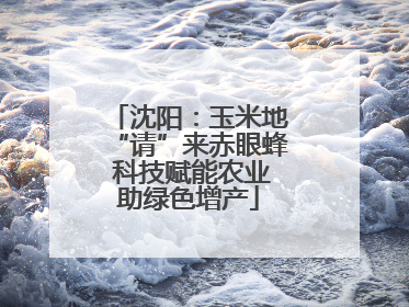 沈阳：玉米地“请”来赤眼蜂 科技赋能农业助绿色增产
