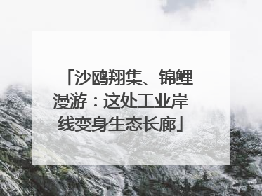 沙鸥翔集、锦鲤漫游：这处工业岸线变身生态长廊