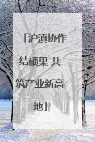 沪滇协作结硕果 共筑产业新高地
