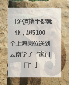 沪滇携手促就业，超5100个上海岗位送到云南学子“家门口”