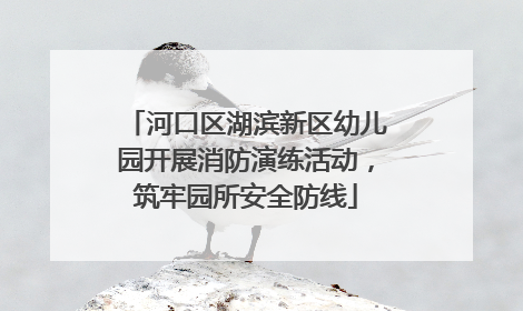 河口区湖滨新区幼儿园开展消防演练活动，筑牢园所安全防线