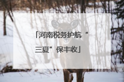 河南税务护航“三夏”保丰收