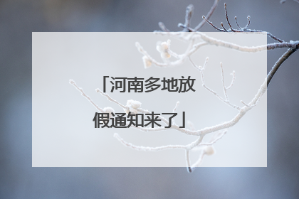 河南多地放假通知来了