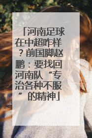 河南足球在中超咋样？前国脚赵鹏：要找回河南队“专治各种不服”的精神