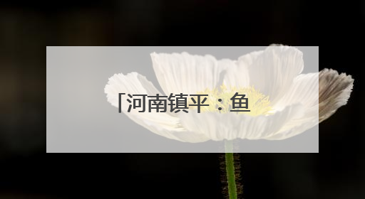 河南镇平：鱼卵“助产师”走俏孵化期