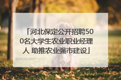 河北保定公开招聘500名大学生农业职业经理人 助推农业强市建设