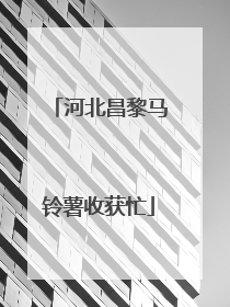 河北昌黎马铃薯收获忙