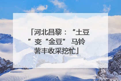 河北昌黎：“土豆”变“金豆” 马铃薯丰收采挖忙