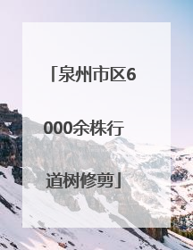 泉州市区6000余株行道树修剪