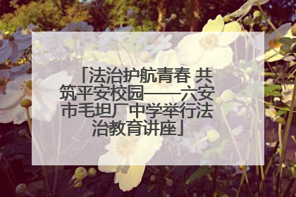 法治护航青春 共筑平安校园——六安市毛坦厂中学举行法治教育讲座