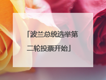 波兰总统选举第二轮投票开始