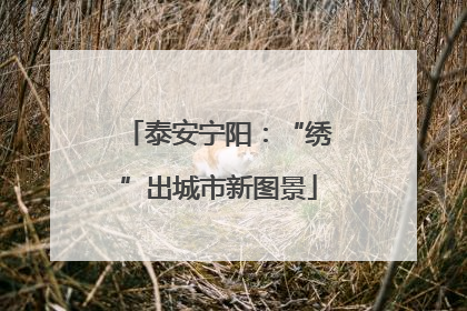 泰安宁阳：“绣”出城市新图景