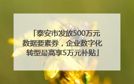 泰安市发放500万元数据要素券，企业数字化转型最高享5万元补贴