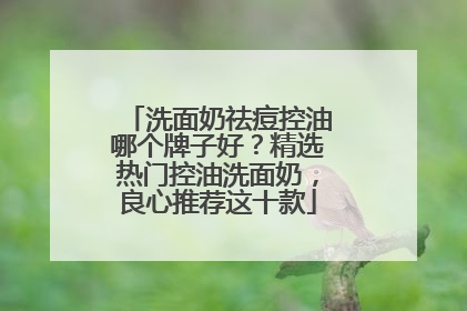 洗面奶祛痘控油哪个牌子好？精选热门控油洗面奶，良心推荐这十款