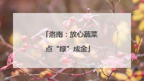 洛南：放心蔬菜点“绿”成金