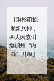洛杉矶惊现新兵种，两大因素引爆加州“内战”升级
