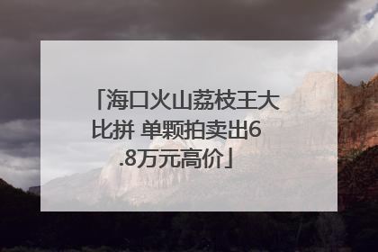 海口火山荔枝王大比拼 单颗拍卖出6.8万元高价