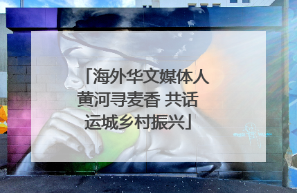 海外华文媒体人黄河寻麦香 共话运城乡村振兴