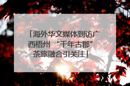 海外华文媒体到访广西梧州 “千年古郡”茶旅融合引关注