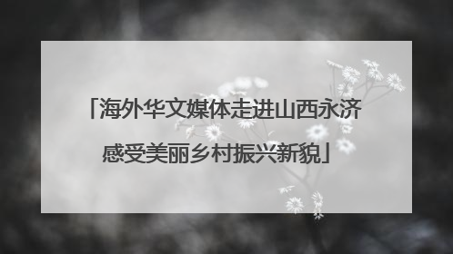 海外华文媒体走进山西永济 感受美丽乡村振兴新貌