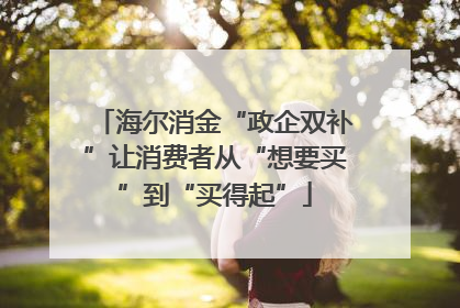 海尔消金“政企双补”让消费者从“想要买”到“买得起”