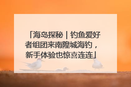 海岛探秘｜钓鱼爱好者组团来南隍城海钓，新手体验也惊喜连连